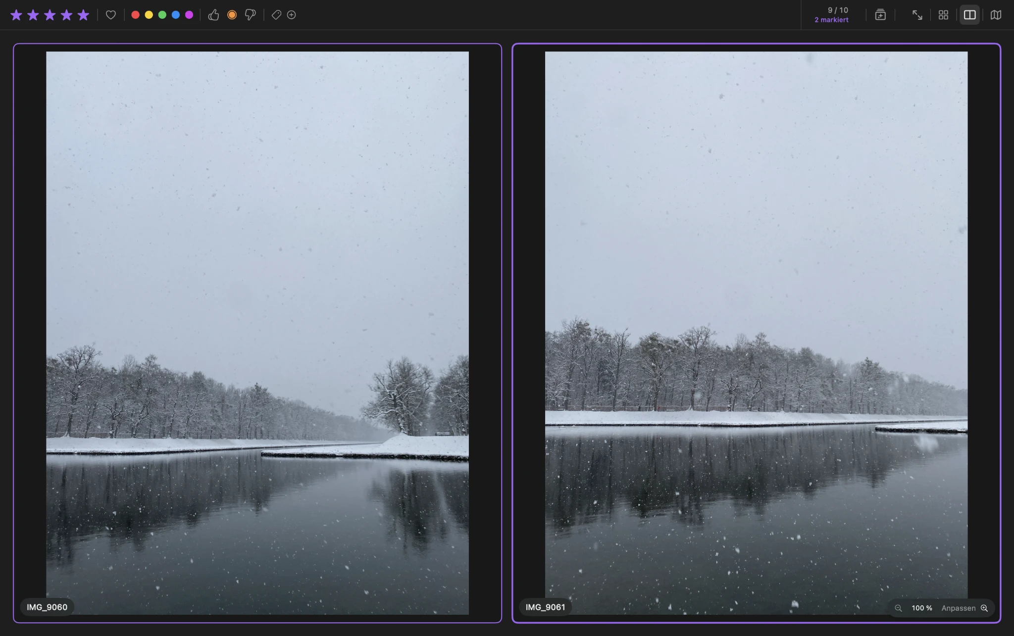 ViolaScope comparison view for choosing between similar photos
