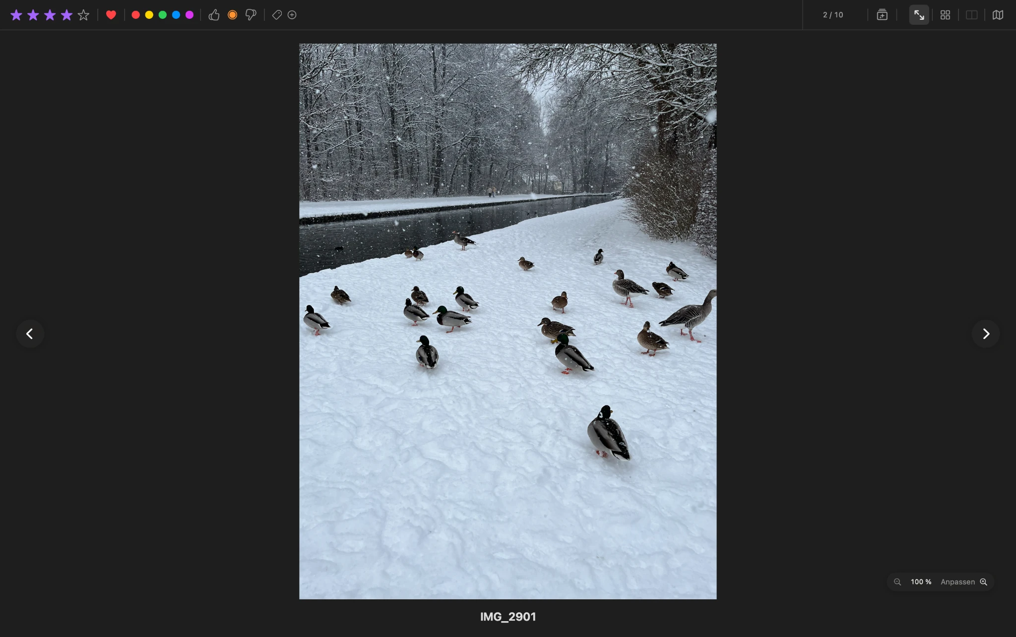 ViolaScope single-image view for reviewing RAW and JPEG photos